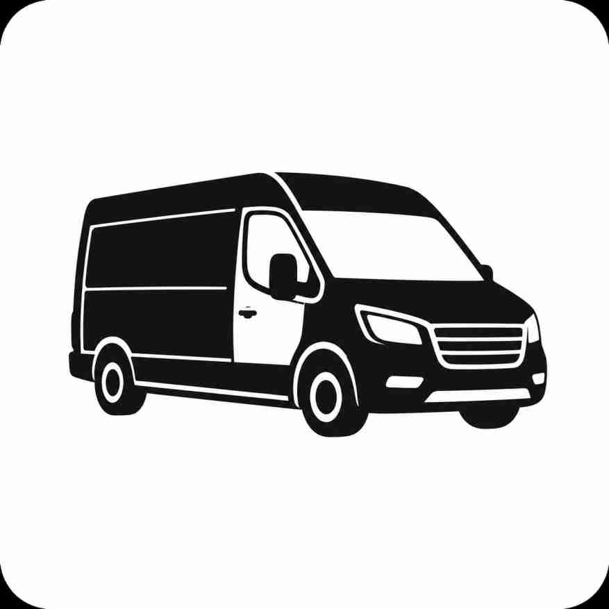 Société de transport | 3 camionnettes | 2 licences actives