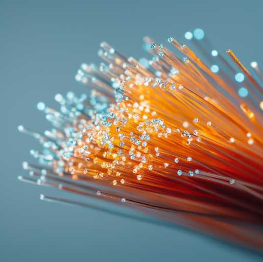 Société spécialisée dans le domaine de la fibre optique
